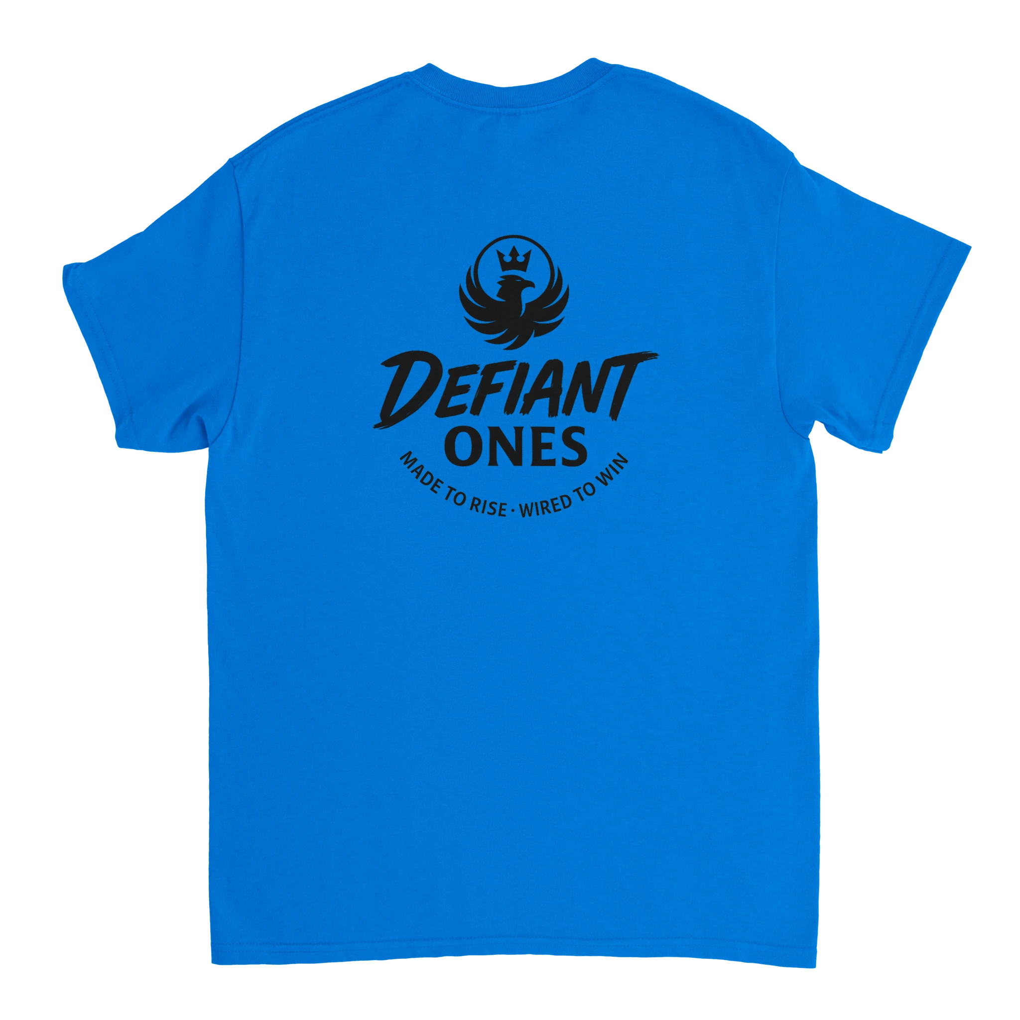 'DEFIANT ONES TEE' | Heavyweight Original Tee - Defiant Ones Clothing Print Material