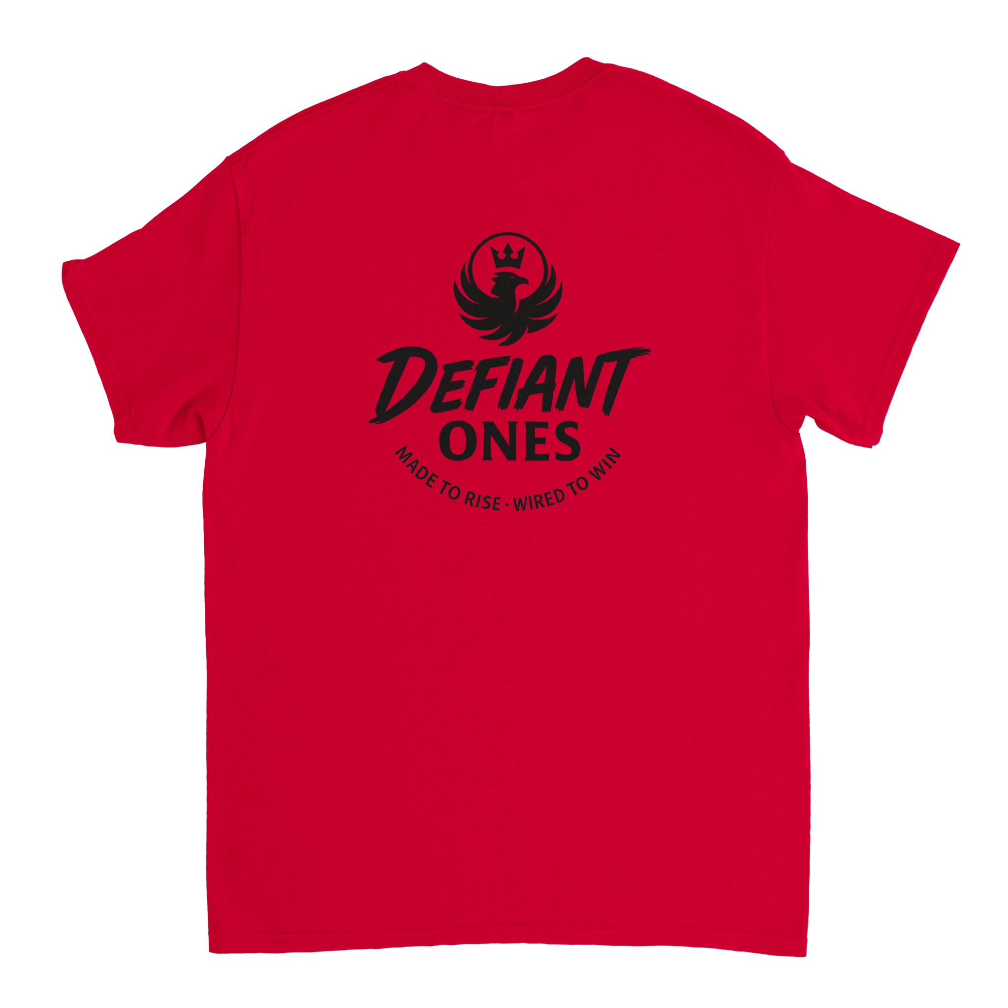 'DEFIANT ONES TEE' | Heavyweight Original Tee - Defiant Ones Clothing Print Material