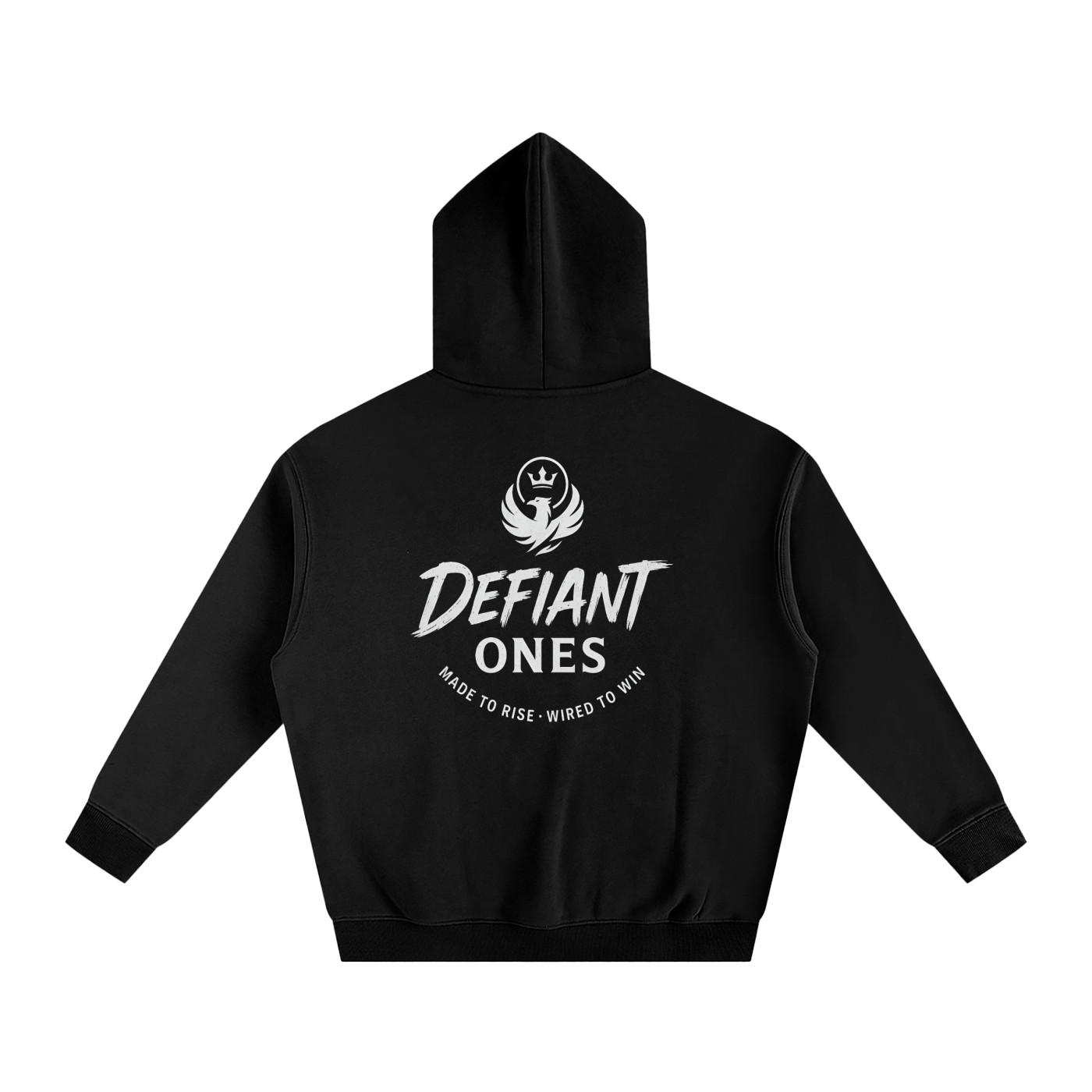 Black hoodie with 'Defiant Ones' logo on the back against a white background