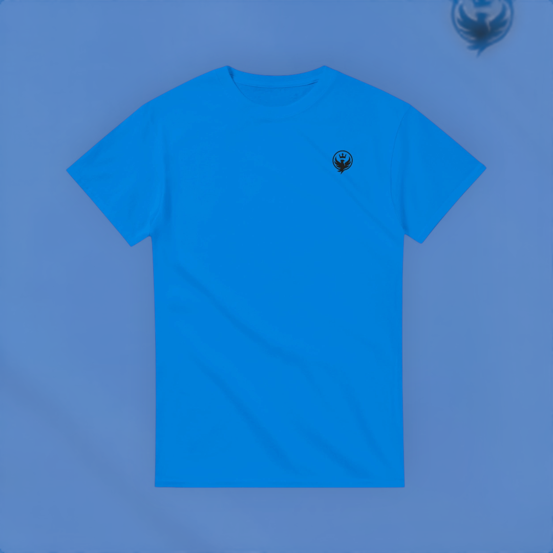 Dead Weight Dont Fly Tee – Hustle Edition T-Shirt product image 8 – Defiant Ones Clothing