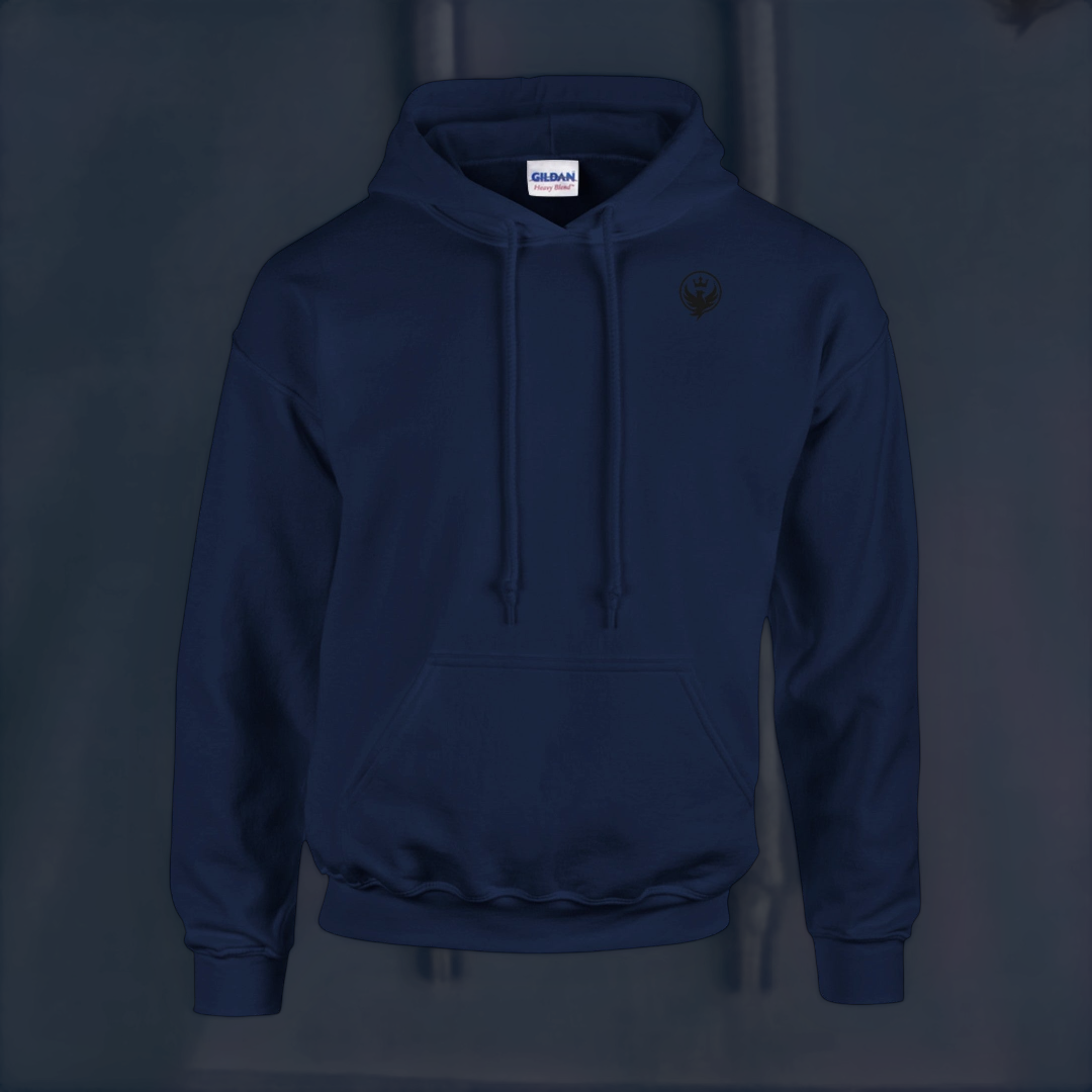 Dead Weight Don’t Fly Hoodie – Motivational Edition Hoodie product image 8 – Defiant Ones Clothing